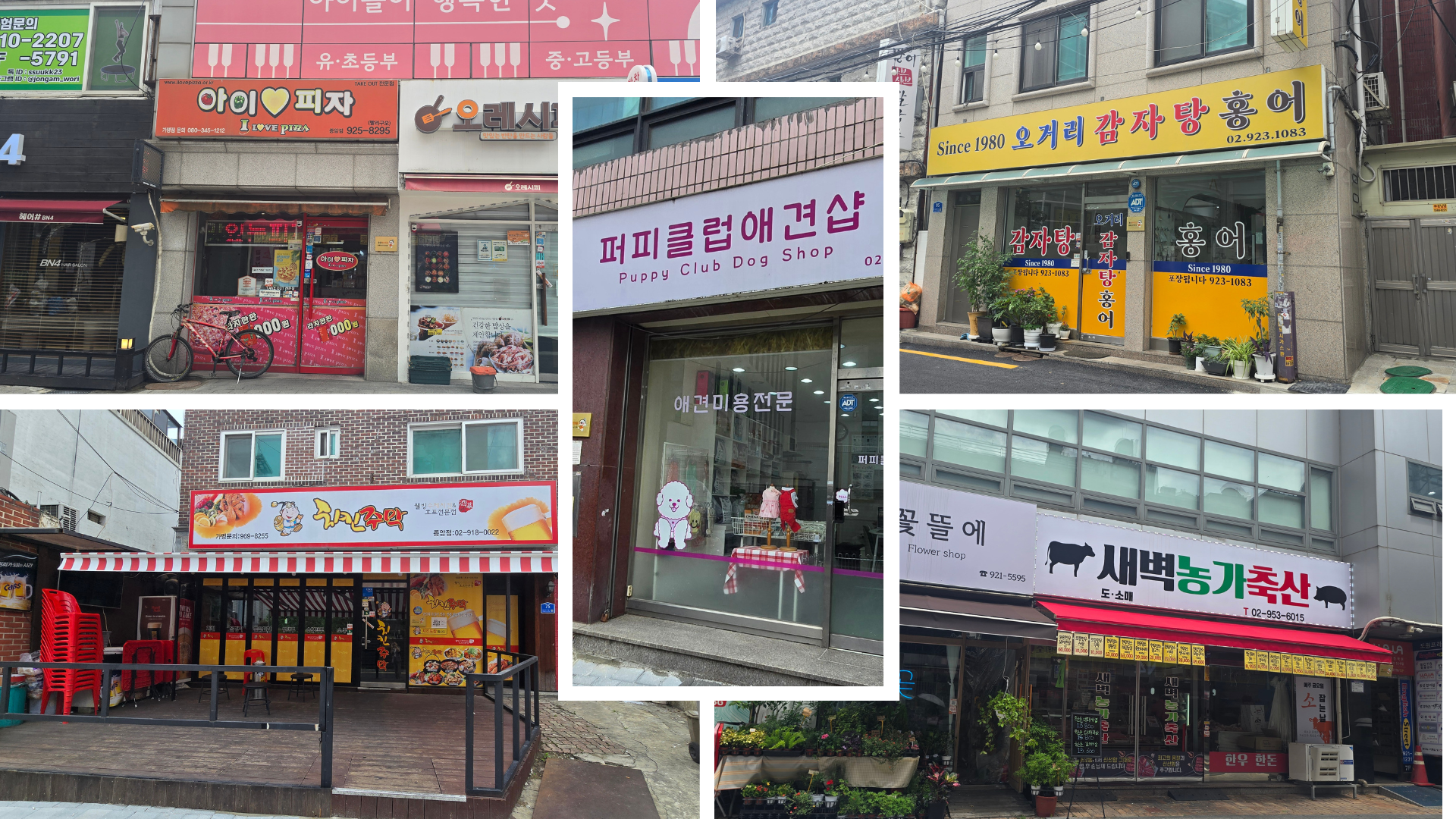 종암동 골목상권 상생이벤트에 참여하는 동네 상점들 〈사진 이음미디어〉